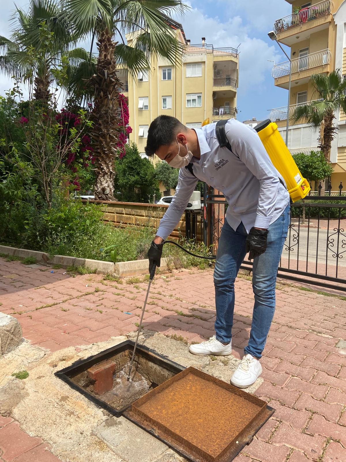 Antalya Haşere ilaçlama Fiyatları 