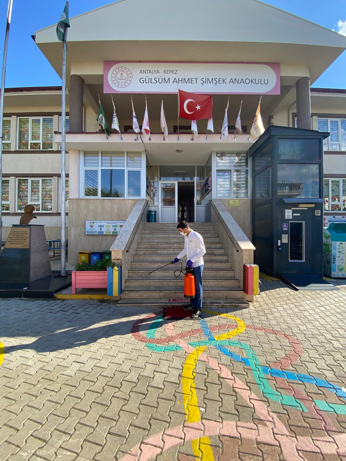 Antalya böcek ilaçlama şirketleri